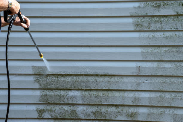 Best Aluminum Siding Installation  in Bridgeport, AL