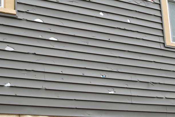 Best Fascia and Soffit Installation  in Bridgeport, AL