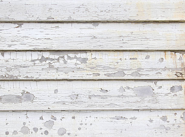 Best Siding Painting and Refinishing  in Bridgeport, AL