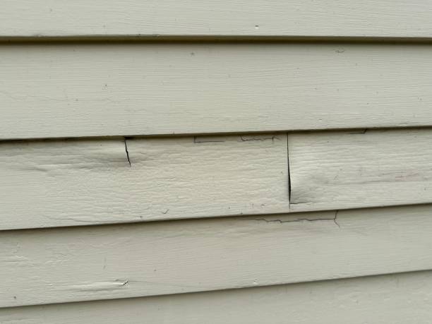 Best James Hardie Siding  in Bridgeport, AL